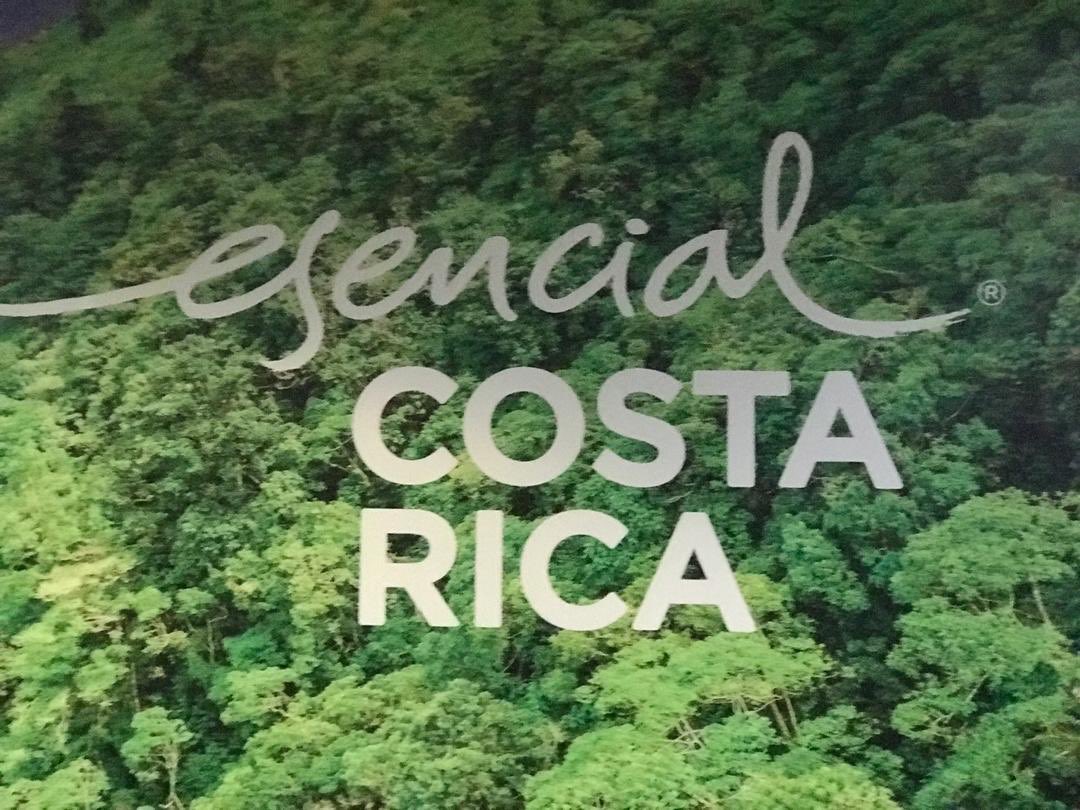 ARDonwahi's tweet photo. Avec une délégation d’experts du @MINEF_CI, j'effectue une mission au #CostaRica, du 26/07 au 3/08, pour nous imprégner de leur expérience sur la restauration du couvert forestier, la gouvenance forestière et la mobilisation des ressources https://t.co/9Zscv7EXCR #CIV225 #CI225 https://t.co/MHAt4IUwOV
