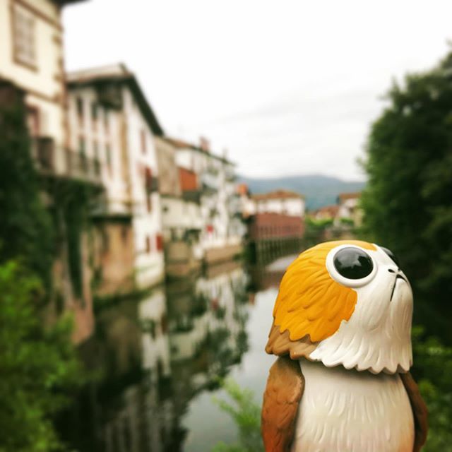shaunspringer's tweet photo. Time for reflection. #DatPorgLife .
.
.
.
#Porg #StarWars #Spain #SequelsMeme https://t.co/9z2AZntyPb