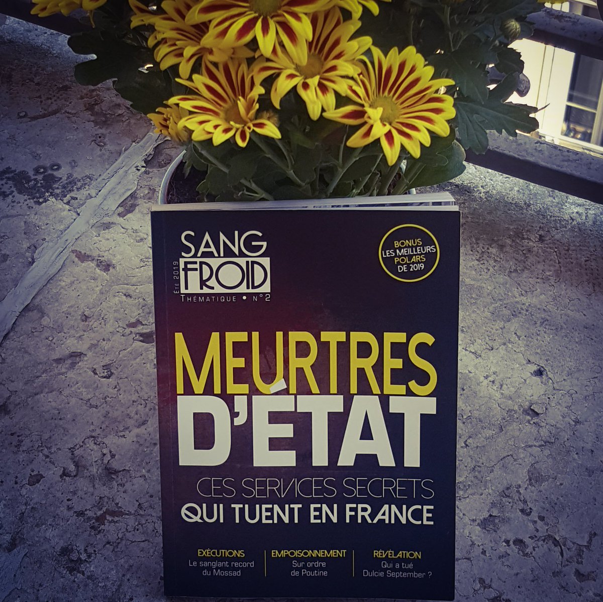 Nat_Lef's tweet photo. Lecture pour l'été : le hors-série de @RevueSangfroid sur les meurtres d'État... et ma sélection de #BD spécial #polar ! 🕵️‍♂️ https://t.co/7AUxZogyZc
