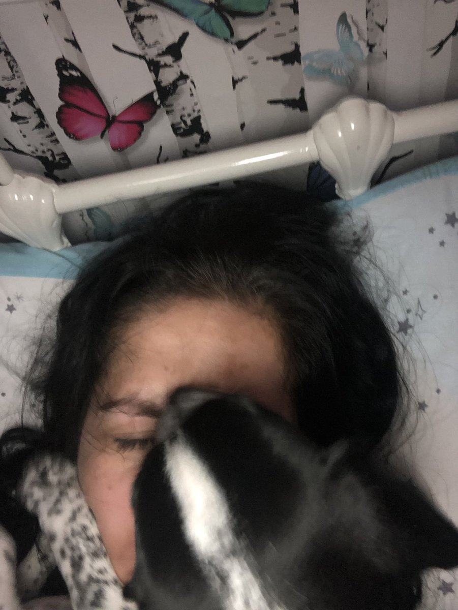 Mazria74's tweet photo. 4.30am face washing from Luna #puppylove #itstoearly #lemmesleep https://t.co/36f5vlhpFW
