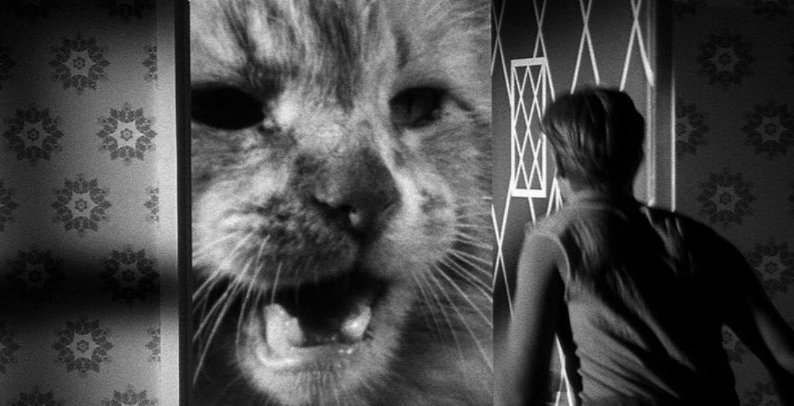 Sputnik_Kino's tweet photo. "There Is No Zero" – #FilmConcert
Ulf Theenhausen plays #JackArnold's "The Incredible Shrinking Man"
Introduction: Christine &amp; Graf Haufen (#Videodrom)
https://t.co/cGQi2u6xvk #LiveSoundtrack #IncredibleShrinkingMan https://t.co/hakgUcXD56