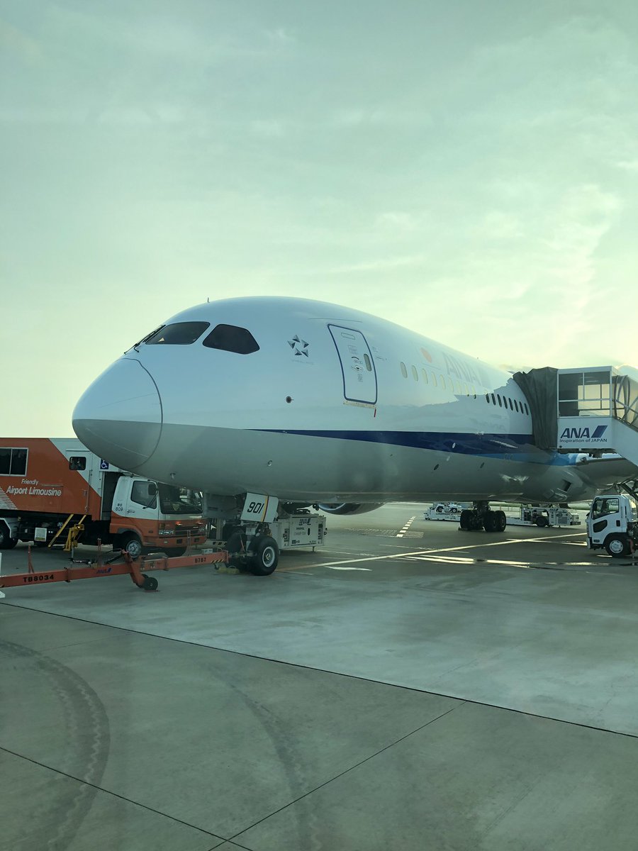 yuji_2002's tweet photo. いつも乗る成田空港 夕方発のANAは沖どめの設定。
バスに乗ってから搭乗するのはちょっと不便だけど、機体を間近で見れて得した気分。
#成田空港 #全日空 #ANA #沖どめ https://t.co/3wXJvWYdcx