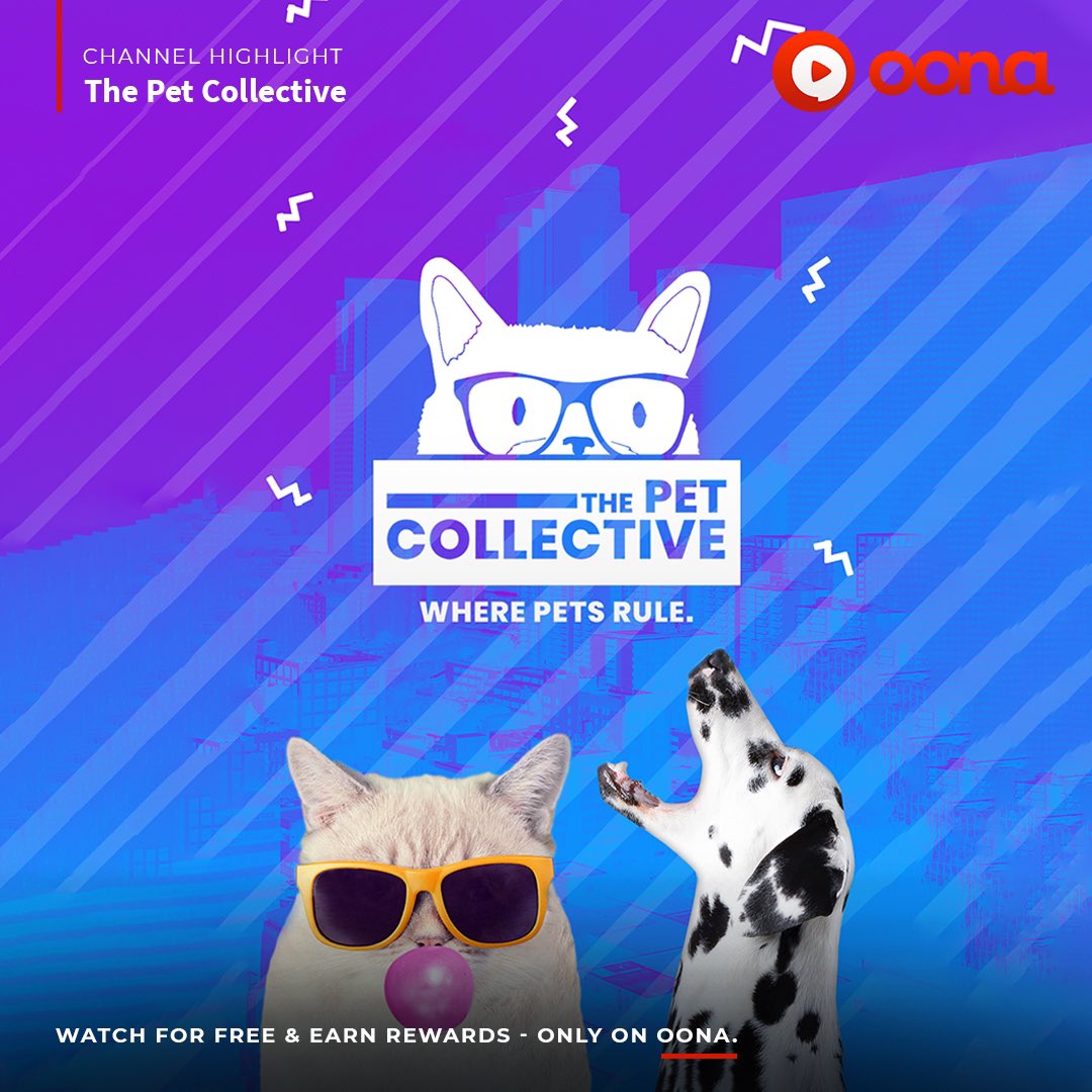 OONA TV United States (@OONATVus) / Posts / X