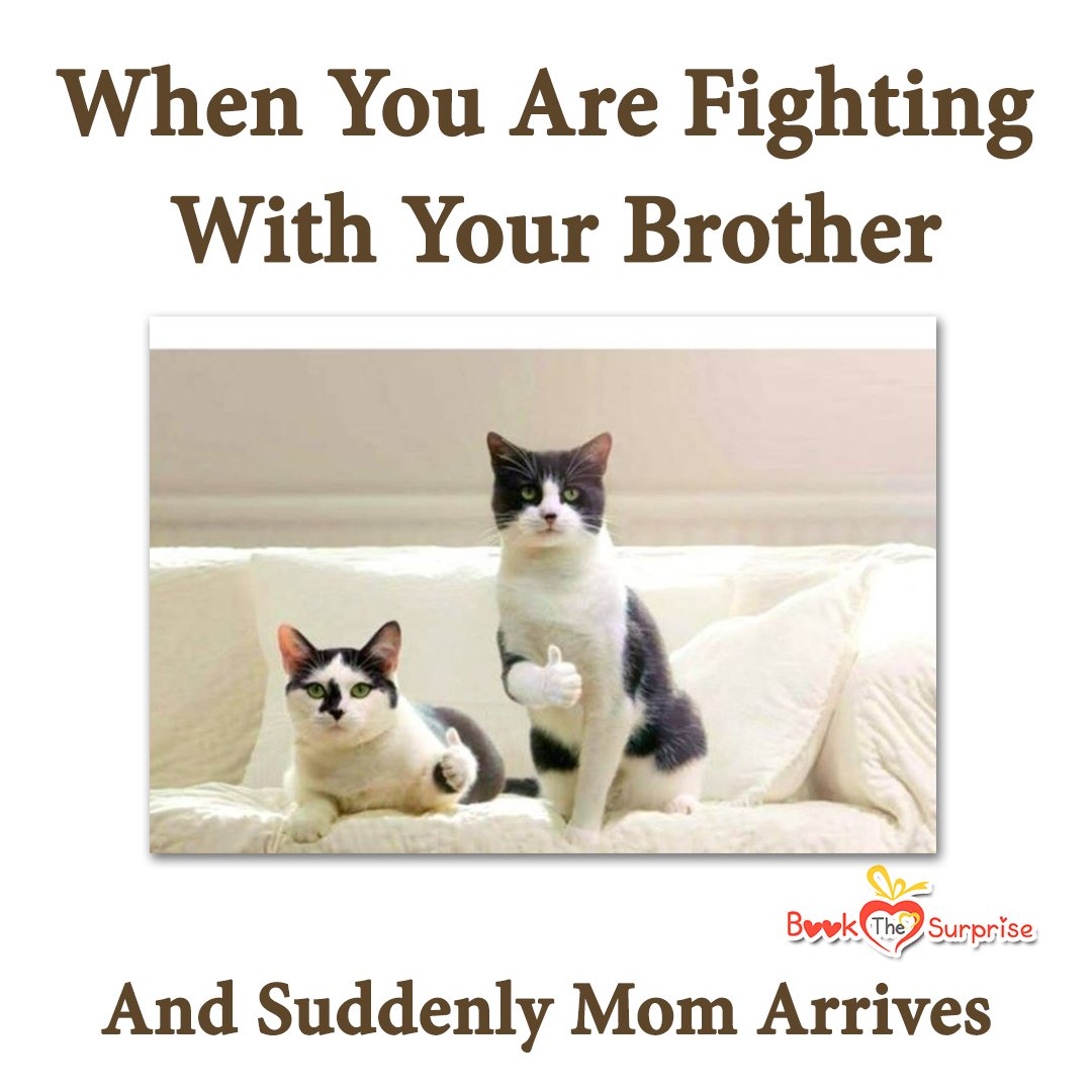 Bookthesurprise's tweet photo. All is Well and Good, No issues! 
We were just bonding! 

#brothermemes #growingupwithsiblings #fighting #siblingrivalry #siblings #siblingmemes #siblingsmemes #crazymemes #relatablepost #familymemes #familymeme #lol #meme #memes #funnymemes #dankmemes #bookthesurprise https://t.co/eJUTIgYsaW