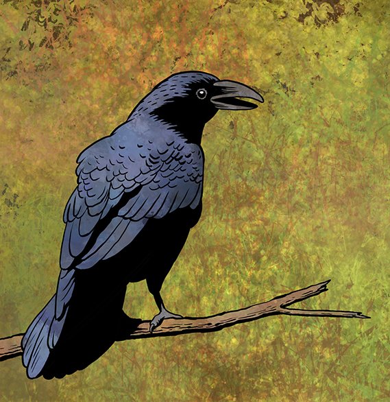 The Crow-Girl website is the new home of the Crow-Girl comics. A page a day until we're all caught up. Please help spread the word.
crow-girl.com