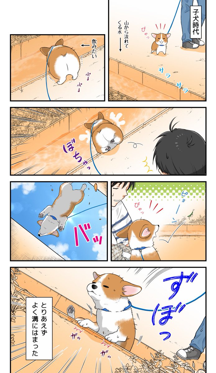 子供の頃の好奇心が先走って身体能力が追いついていないあの感じ 