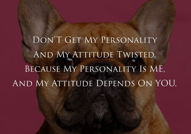 HaimaMattress's tweet image. Don&apos;t get my personality and my attitude twisted.
#mattress#pocket spring mattress #latex mattress