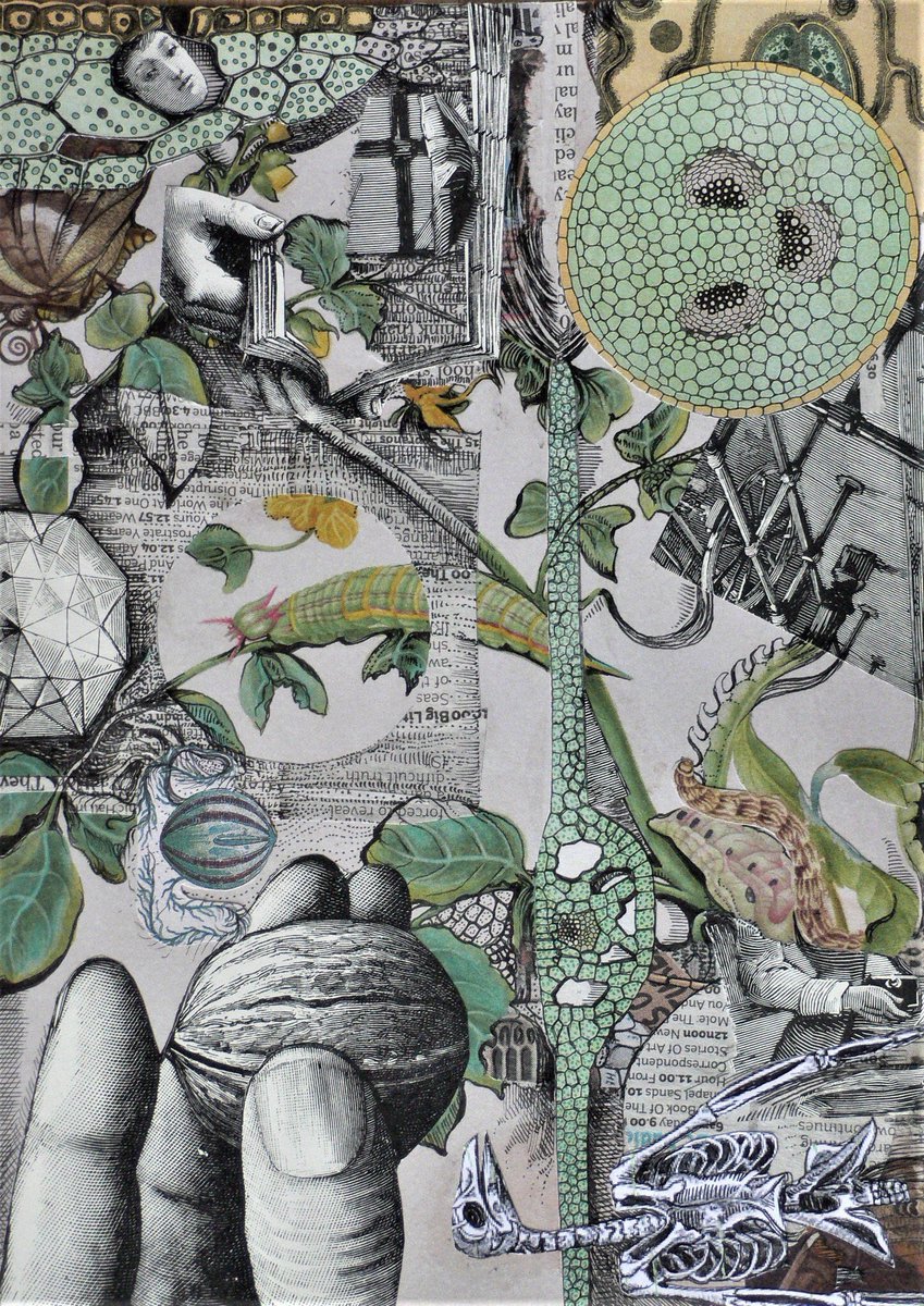 EdinCollage's tweet photo. DISRUPTING CLIMATE DISRUPTION

Open Call Submission Project Summer 2019

ECC &amp; Scandinavian Collage Museum collaborative project. Exploring the issues of climate change. See website for details.
Featured artists: Roberta Guarna, @georginacoburn2, collagesbychris &amp; Slowailustoware https://t.co/sSbgLe2KJG