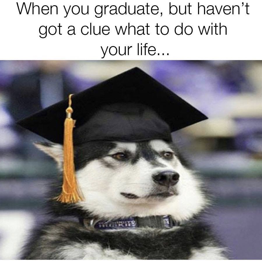 SakeWijers's tweet photo. I graduated over 2,5 weeks ago and a picture has never been more real! #graduatedlife https://t.co/3bV6OZ8fiO
