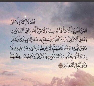 وطن عمري tweet media