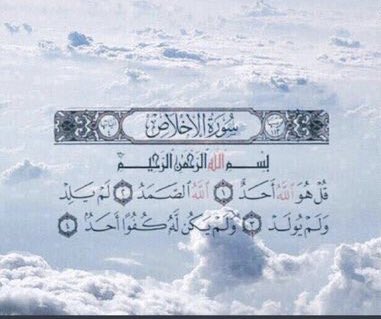 وطن عمري tweet media