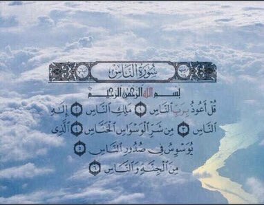 وطن عمري tweet media