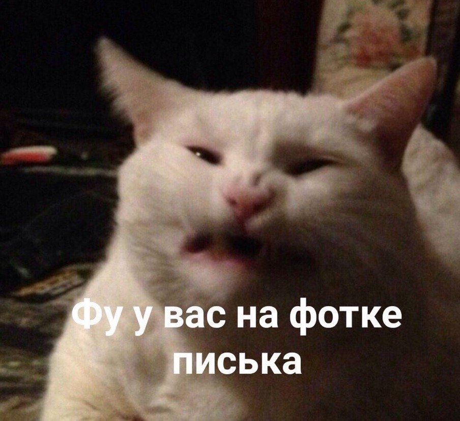 esscapismm's tweet photo. @Letsalex3 https://t.co/c64DDcQsDJ