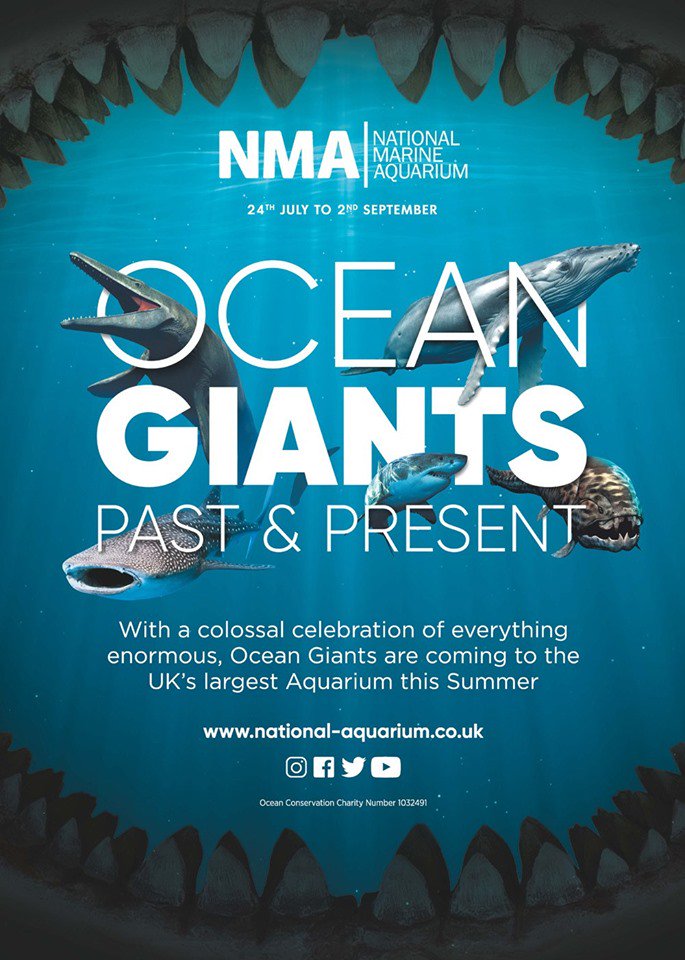 OceanCitySights's tweet photo. 🌦🦈RAIN OR SHINE: 10% OFF🦈🌦 While the weather is looking hit and miss, head to see our friends at the @NMAPlymouth. Hop off at the Mayflower Steps, show your bus ticket and get 10% off admission AND 10% off in the gift shop! We highly recommend the Ocean Giants exhibition! https://t.co/jTTq1h1uVU
