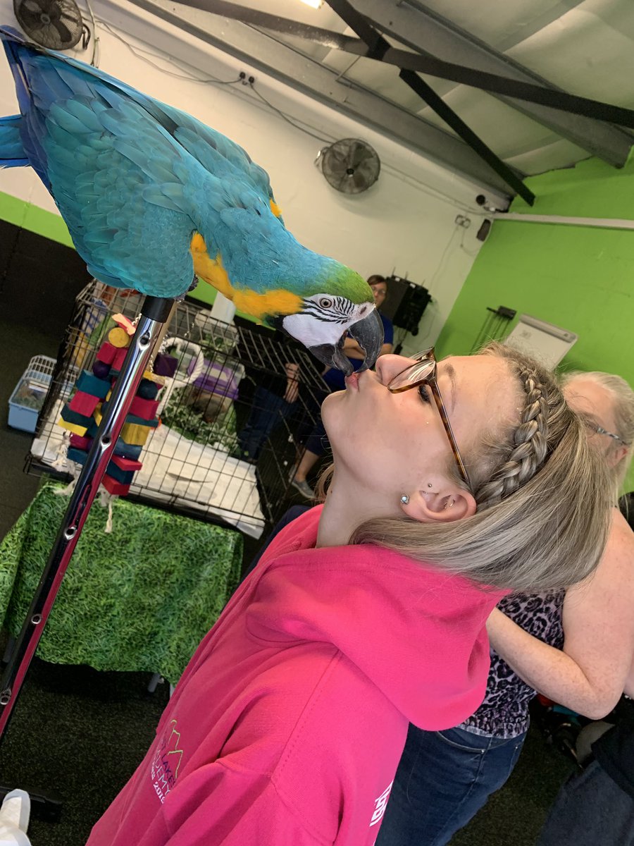 InspiraLibby's tweet photo. One of our young people getting kisses off Toffee the Parrot, best session so far! 🦜 🦜 @always_another @inspiraforlife @NCS #pettherapy #alwaysanotherway #parrot #kisses #ncs https://t.co/9lXG4kdChA