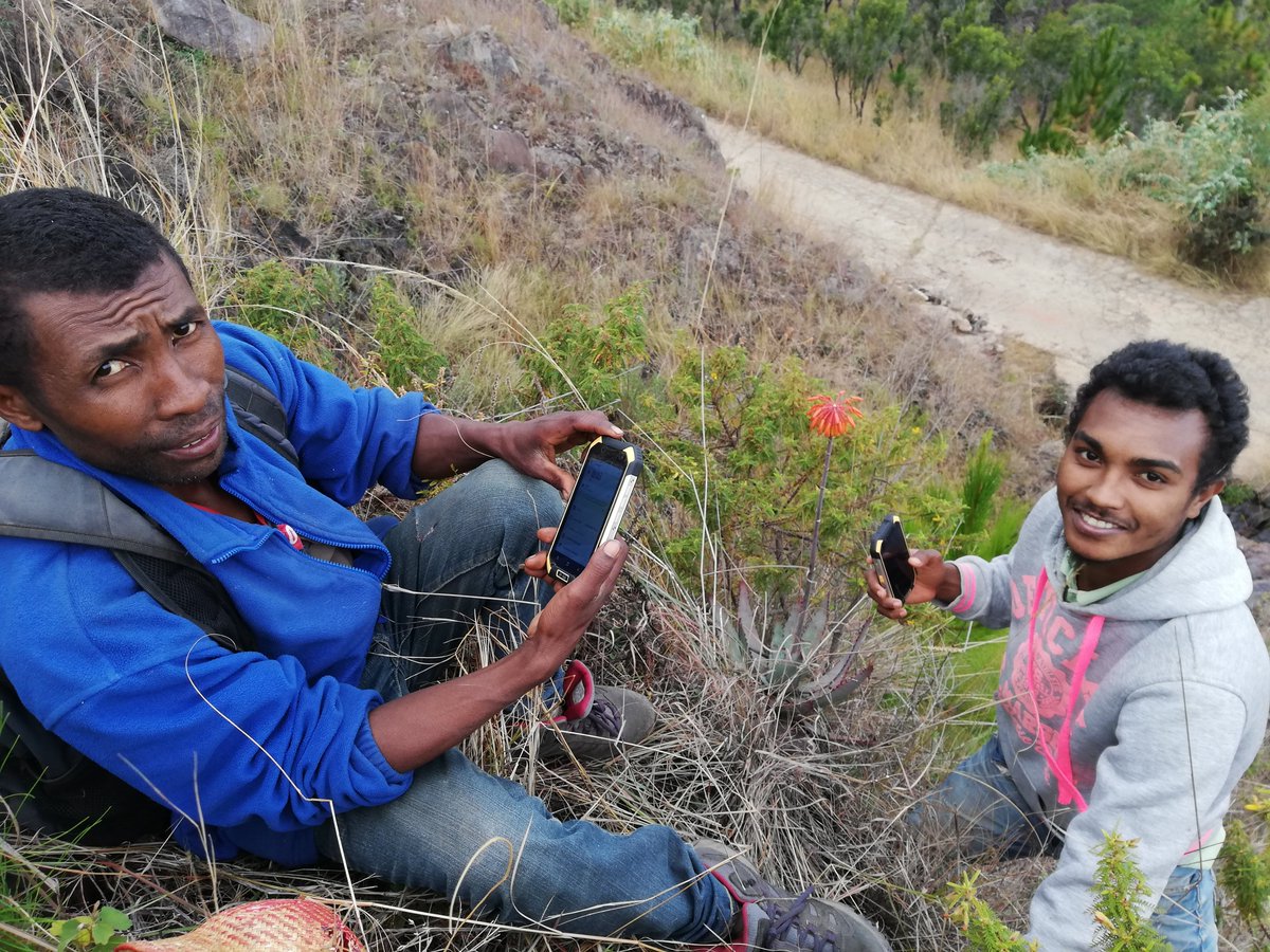 sederaramaro's tweet photo. #ItremoPA local staff being equipped with two news smartphones for databasing and mapping biodiversity using @inaturalist, 1217 observations, 373 species, thanks to @TeamKMCC https://t.co/dWox1ZF7VX