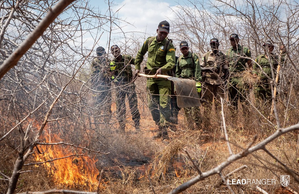 mountkenyatrust's tweet photo. #MountKenyaTrust rangers, Daniel Gitonga & Charles Nyaga attended a #FireFighting training workshop at Wildlife Works near Tsavo last week. Participants came from Kenya, Tanzania, Uganda & Zimbabwe. We're grateful to #WildlifeWorks, #LeadRanger & trainers from #FireGround https://t.co/igzFpwJ1Ea