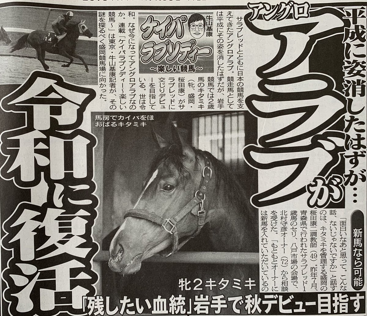 アングロアラブの血統書 種雌馬の血統や繁殖成績などを収録 昭和