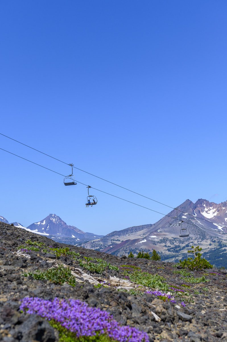 Feeling the heat? Cool mountain air is calling your name! Head up for a scenic lift ride or some downhill biking this week and get some relief from those hot temps in town. mtbachelor.com/summer/summer-…