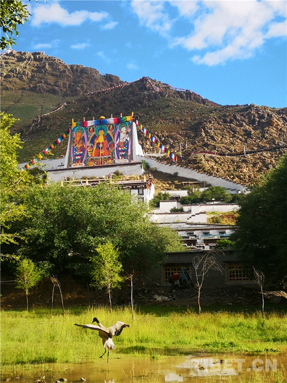 DSDefen's tweet image. 十一世班禅在扎什伦布寺举行佛事活动
tinyurl.com/PanchenLama

#India #Tibet #China #Nepal #FreeTibet #rangzen #Tibetans #TheLieLama #DalaiLama #TibetanBuddhism #Beijing #DorjeShugden #buddhists #zen #compassion #Dharma #teacher  #life #WorldNews #Time #nature  #PanchenLama #Wisdom