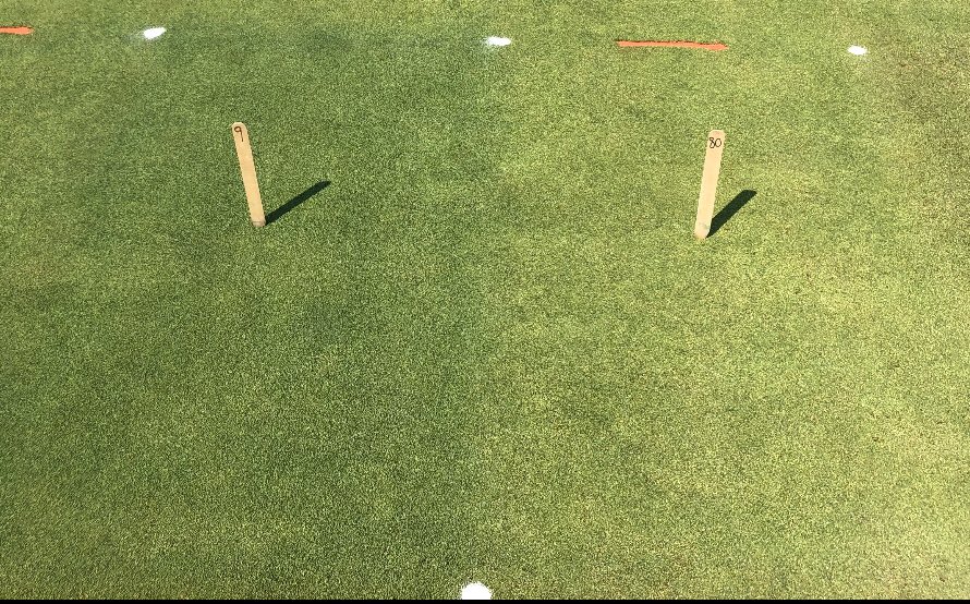 Turfman77's tweet image. Once again Harrell’s hits it out of the park on Anthracnose control at Rutgers Field Day! Harrell’s program 9 vs the control here. Control with 33% disease. Harrell’s program 9 with 1.3% disease. All 8 Harrell’s programs received best in show Flags!!!! @HarrellsLLC