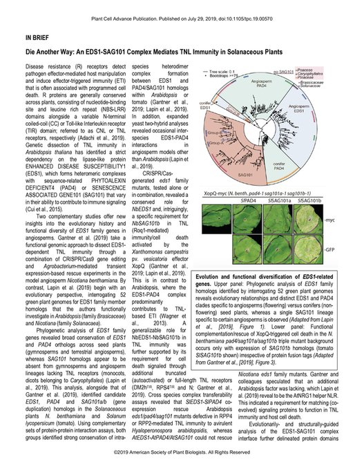 Philip Carella (@phil_carella) on Twitter photo A summary of 2 excellent #EvoMPMI papers <a href="/ThePlantCell/">The Plant Cell</a>. Congrats <a href="/ParkerLab_MPIPZ/">Parker Lab</a> <a href="/laplap10/">Dmitry Lapin</a> <a href="/xinhua_sun/">Xinhua Sun</a> & the Stuttmann group <a href="/UniHalle/">Universität Halle (inaktiv)</a>. ''Die Another Way: An EDS1-SAG101 Complex Mediates TNL Immunity in Solanaceous Plants | Plant Cell sco.lt/8xi6wi'' A summary of 2 excellent #EvoMPMI papers <a href="/ThePlantCell/">The Plant Cell</a>. Congrats <a href="/ParkerLab_MPIPZ/">Parker Lab</a> <a href="/laplap10/">Dmitry Lapin</a> <a href="/xinhua_sun/">Xinhua Sun</a> & the Stuttmann group <a href="/UniHalle/">Universität Halle (inaktiv)</a>. ''Die Another Way: An EDS1-SAG101 Complex Mediates TNL Immunity in Solanaceous Plants | Plant Cell sco.lt/8xi6wi''