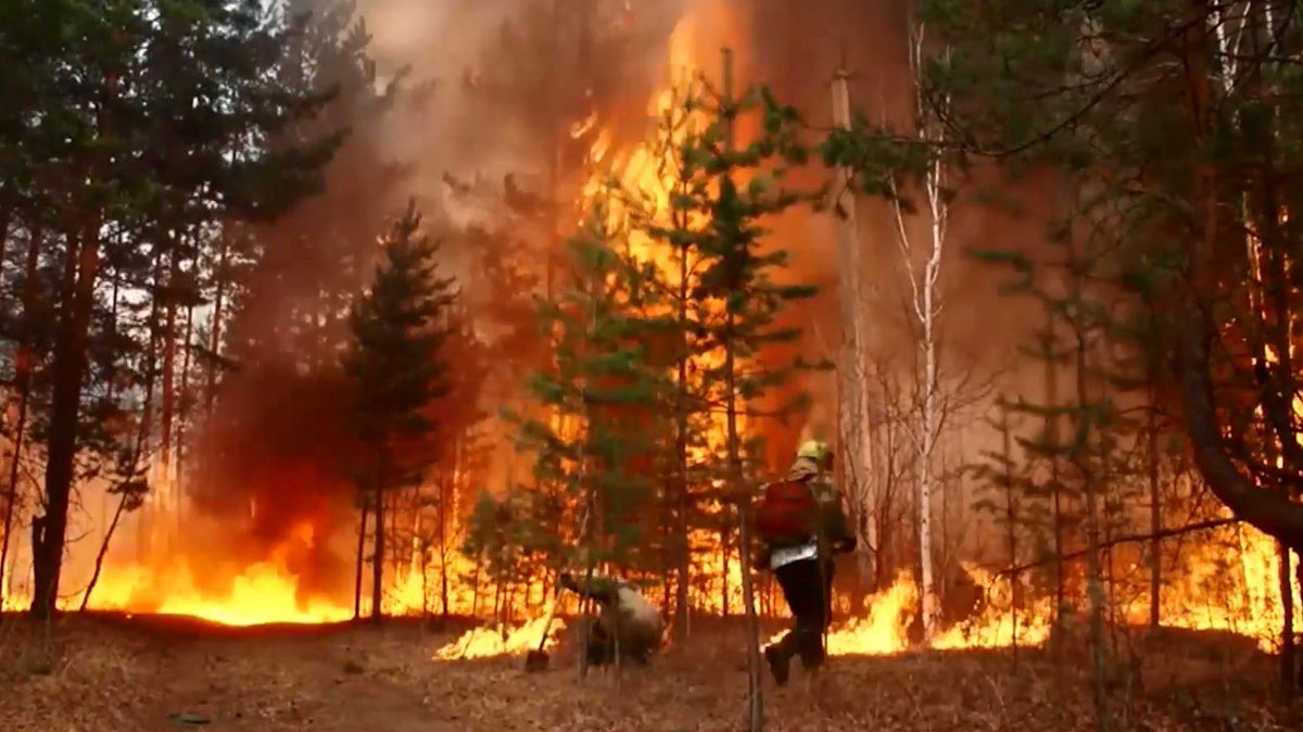 В следствии лесных пожаров