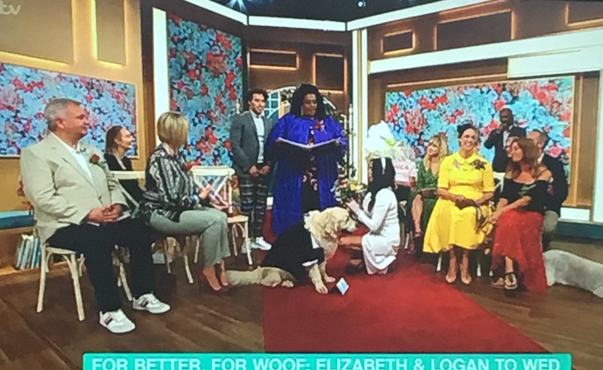 TobyonTV's tweet photo. There’s a woman marrying her dog on #ThisMorning https://t.co/G7v4InyAOD