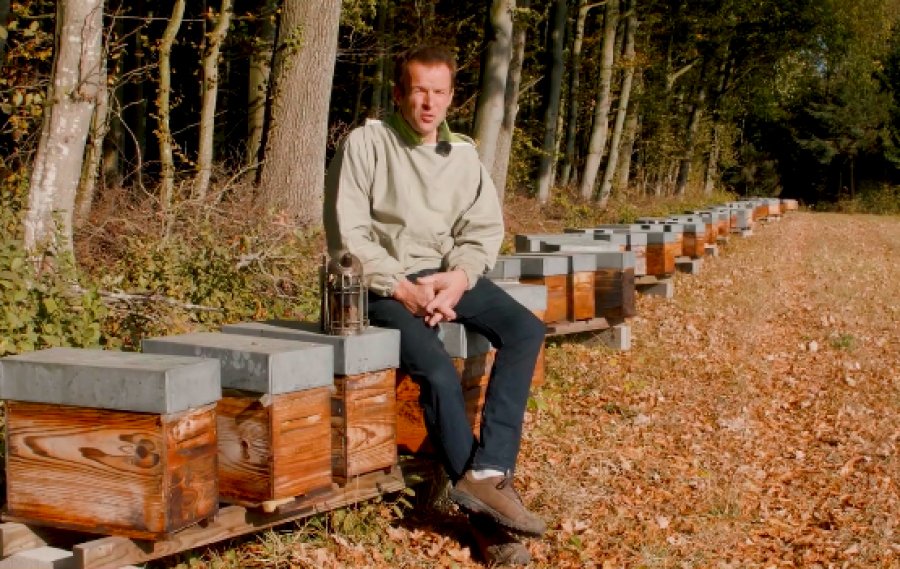 Avec ses 1000 ruches : cet alsacien sensibilise les enfants de sa région au rôle crucial des abeilles limportant.fr/infos-le-choix… <a href="/BanquePopulaire/">Banque Populaire</a> #partenaire