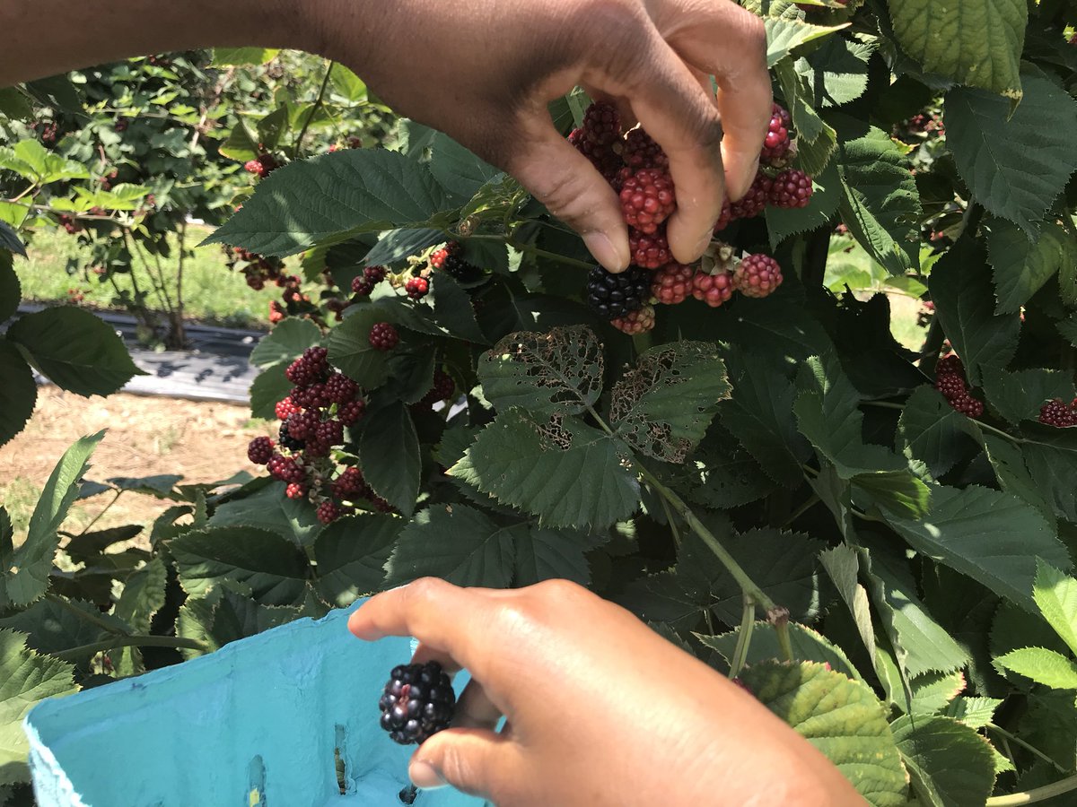 Andre Jones tweet media