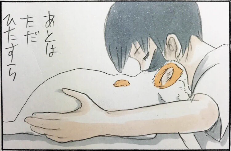 猫を感じる方法はなで回すだけじゃない！静かに喉の音を堪能するんだ・・・