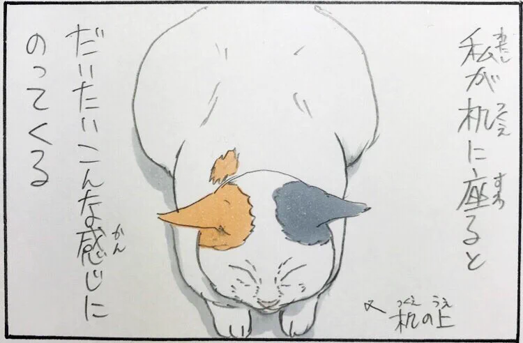 猫を感じる方法はなで回すだけじゃない！静かに喉の音を堪能するんだ・・・