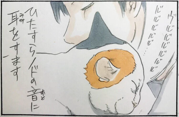 猫を感じる方法はなで回すだけじゃない！静かに喉の音を堪能するんだ・・・