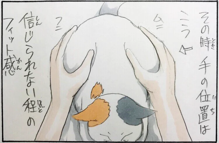 猫を感じる方法はなで回すだけじゃない！静かに喉の音を堪能するんだ・・・