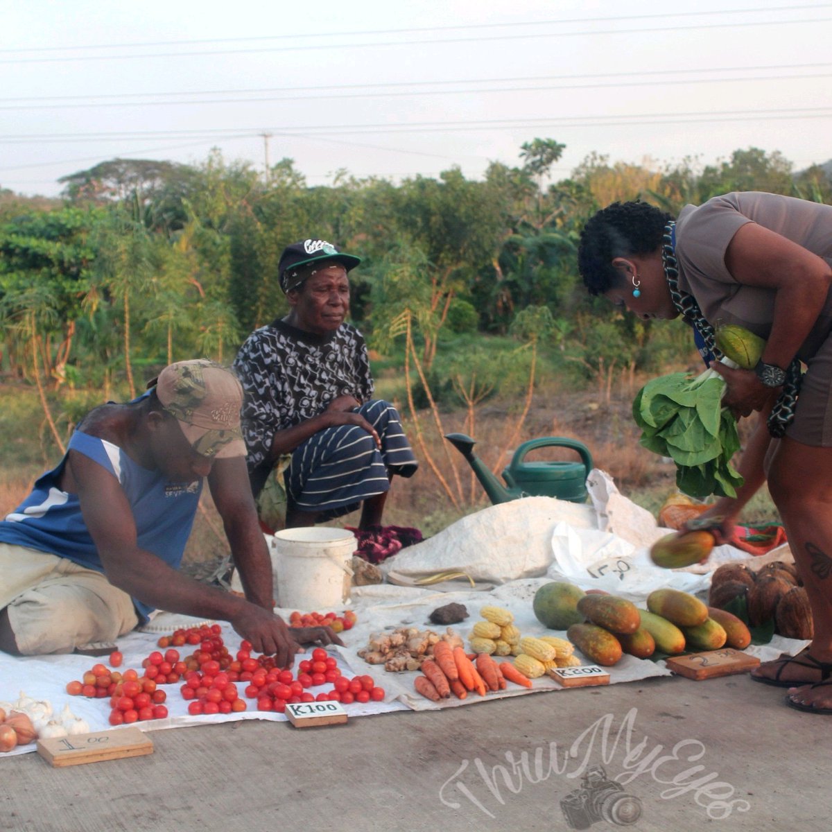 laif_thrumyeyes's tweet photo. When you buy from a local farmer, you contribute to their livelihood #supportlocalfarmer #moratabackroad #informalmarket #papuanewguinea 🍅🍉🌽🥕🥥🌶🍍🍉 https://t.co/Q94o4ofkQ7
