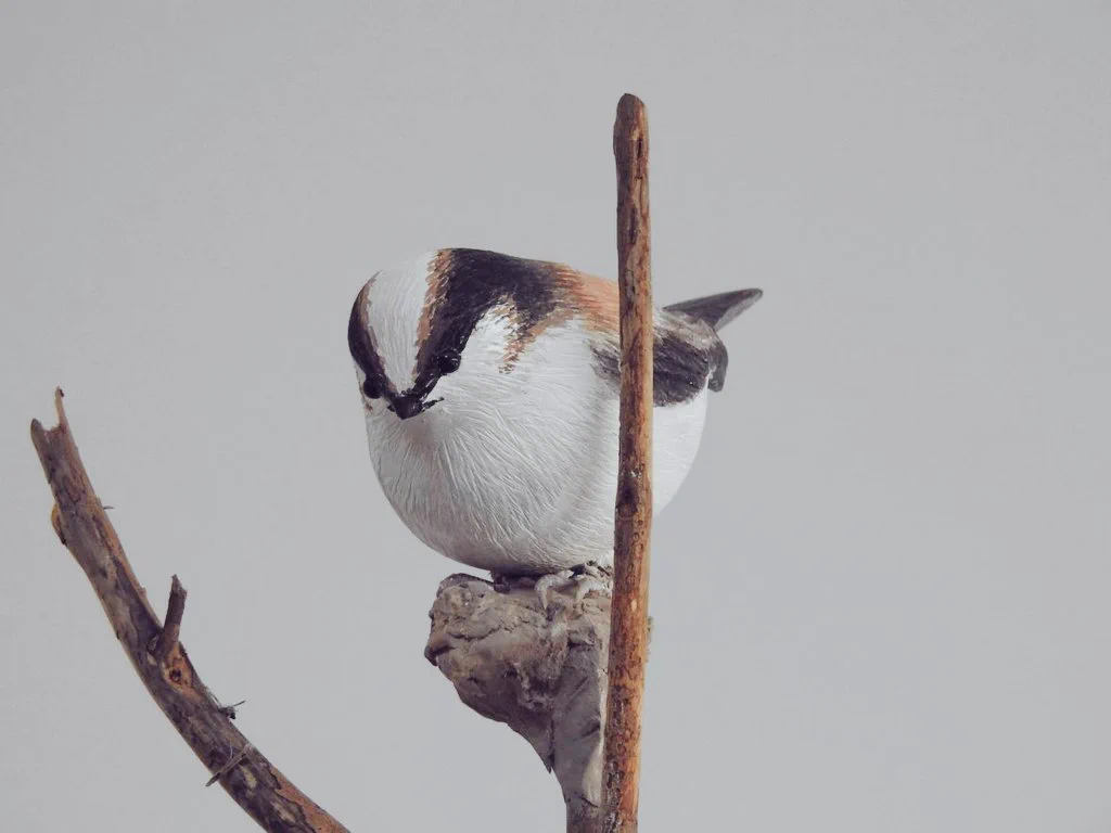 父が木工細工で作った鳥がすごすぎる！