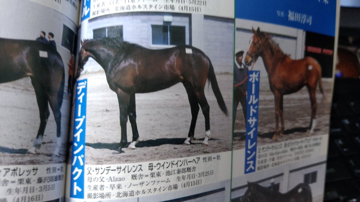 須田鷹雄 とは このpog本ダメだな あとこの頃は産地馬体検査取材が入り乱れて無秩序にやってたので写真もヒドい というかこの頃の赤本いろいろヒドい ちなみに巻頭1頭めの写真はサムライハートでした T Co S0n43q7e8o Twitter 須田鷹雄 とは このpog本ダメだな あとこの頃は産地馬体検査取材が入り乱れて無秩序にやってたので写真もヒドい というかこの頃の赤本いろいろヒドい ちなみに巻頭1頭めの写真はサムライハートでした T Co S0n43q7e8o Twitter