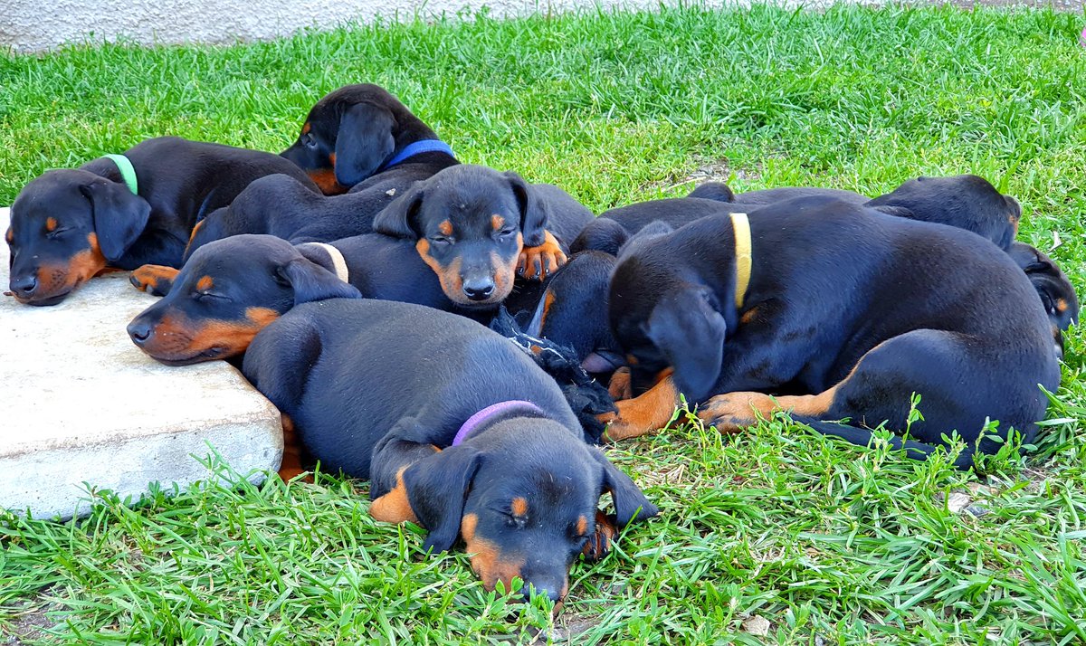 Akasha Wingates tweet media