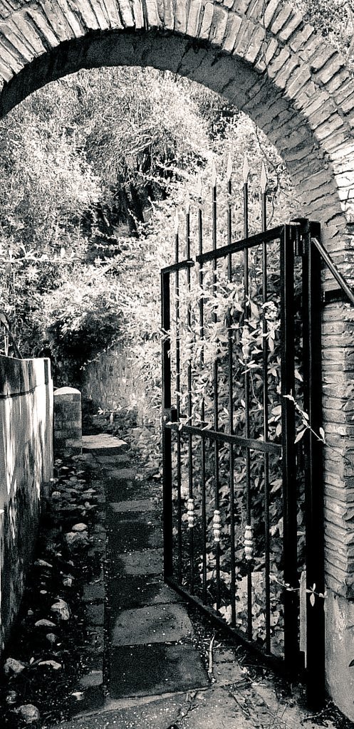 Secret garden. #blackandwhitephotography #bnw_captures #bnwphotography #bnwlandscape
