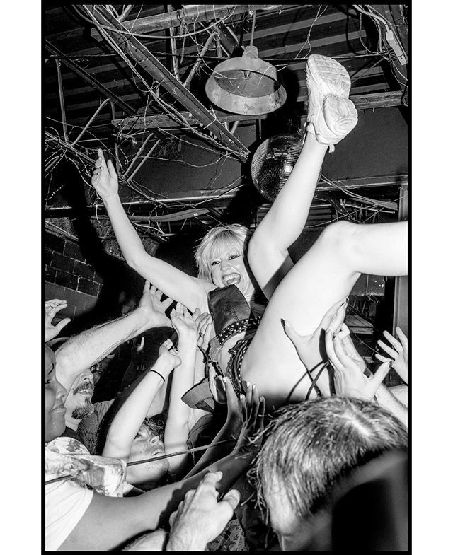 Alex Carre tweet media