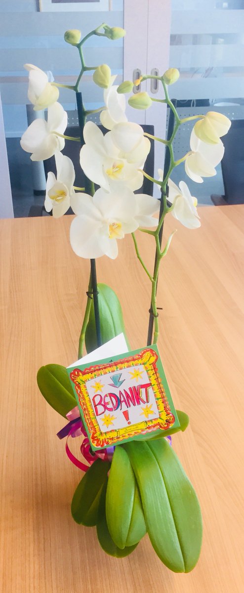 Trainster Marianne ontving een prachtige orchidee met een lief kaartje van een dame (statushouder) die via ons een voortraject in de Zorg speciaal voor Anderstaligen heeft gevolgd. Ze gaat nu verhuizen naar een andere gemeente. Wij wensen haar veel succes met haar vervolgtraject!