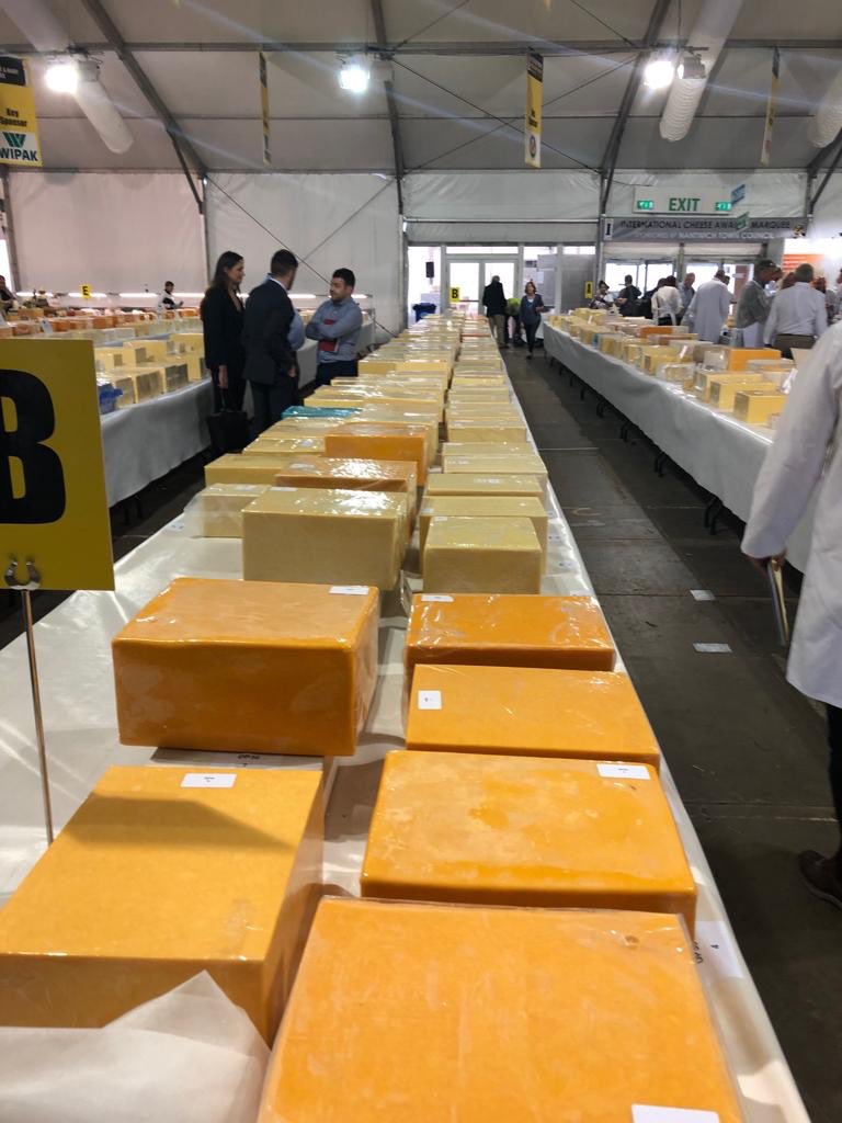 Our cheese experts @fromage2age are judging at the @iCheeseAwards today 🧀

#cheese #cheeseexpert #cheesejudge #cheeseawards #nantwich #morethanabutcher 
@fromage2age