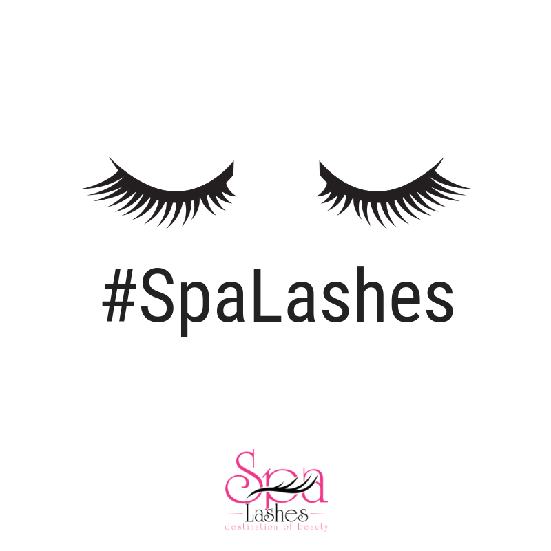 spalashes tweet picture
