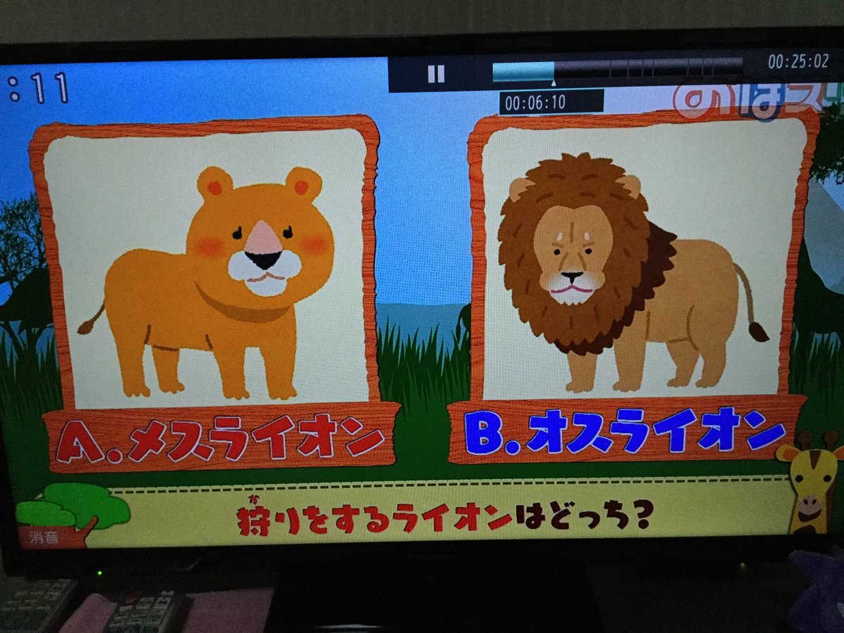 はねいる 今朝も おはスタ夏休みスペシャル で いらすとや が いらすとやgo おはスタ はねいる 今朝も おはスタ夏休みスペシャル で いらすとや が いらすとやgo おはスタ