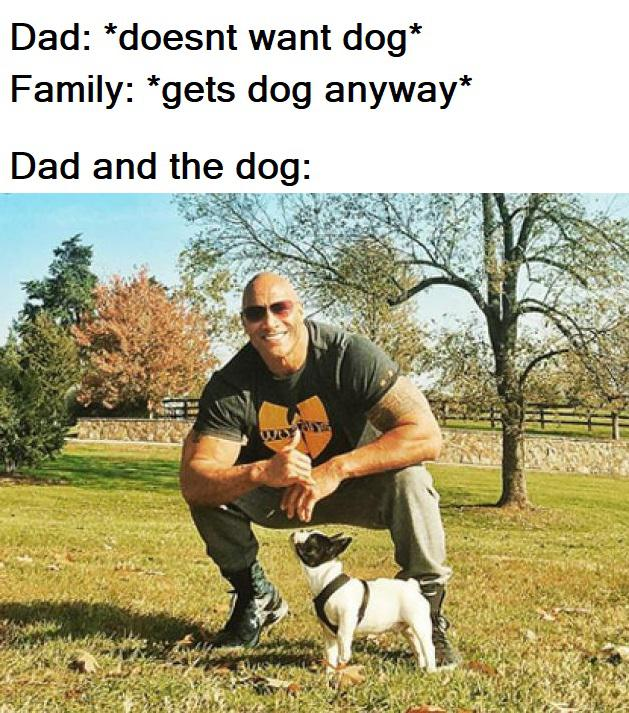 WholesomeMemes (@wholesomememe) on Twitter photo 