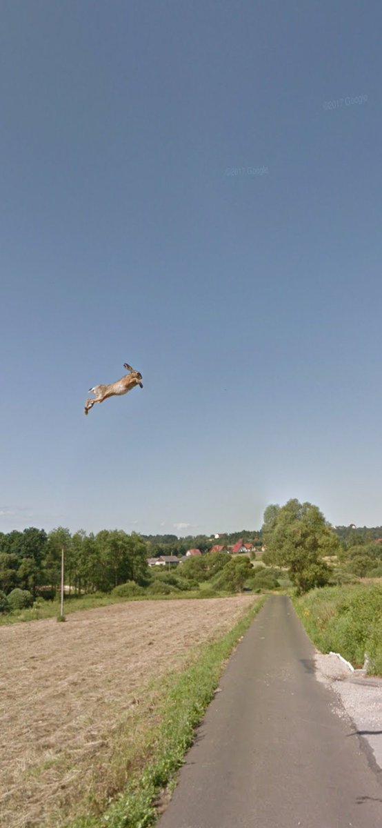 StreetsApp's tweet image. All rabbits fly high!
Alle Hasen fliegen hoch! streets.app/2ytZWQB