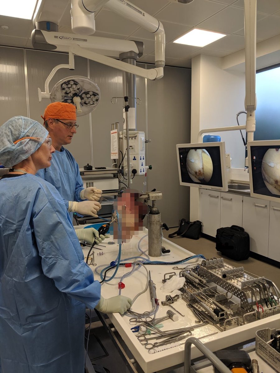 Professor Funk and our surgical assistant Linda have been learning more about the exciting new REGENETEN bioinductive implant. 
<a href="/theshoulderdoc/">Lennard Funk</a> #TheArmClinic #REGENETEN