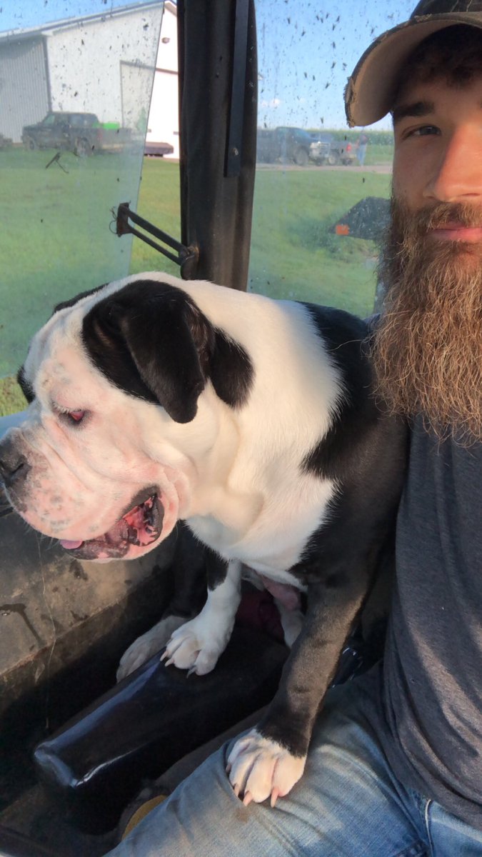 RoadBlock7's tweet photo. Looks out the window likes he’s been feeding cattle for years #hyep https://t.co/7vuwqg7Ve1