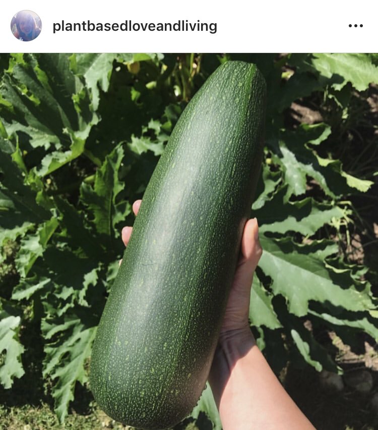 nmotions's tweet photo. Hello hello ☀️ I had the best pasta ever 😍🤤 As you know, I try to grow a few vegetables in my garden, like zucchini’s, and it works pretty good 🙏 I made a delicious pasta which will be my favorite one now 😍 Ingredients were .. yummiiiii
https://t.co/QtfX7hBhug https://t.co/RN2URWDEpq