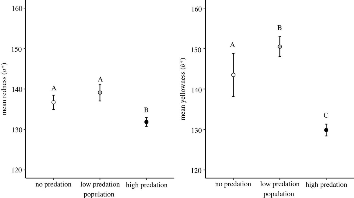 RSocPublishing tweet picture